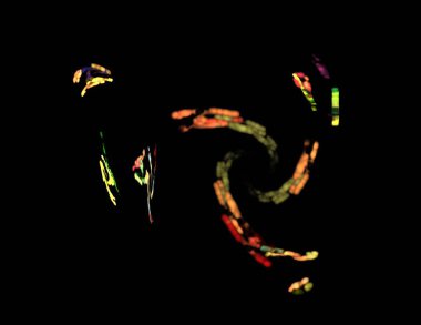 Siyah Renk Üzerine Bir Dijital Fraktal Resmi