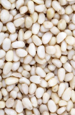 Bir sürü sedir fıstığı.