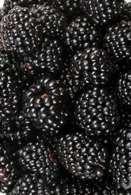 bir sürü BlackBerry