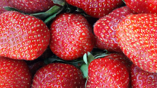 Strawberry at dry day — Stock Photo, Image