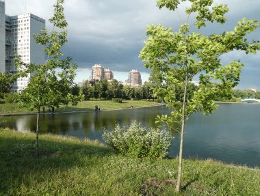 Yaz günü şehir parkında