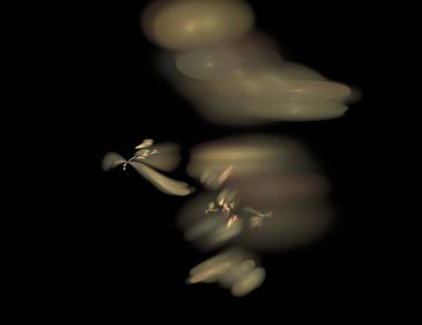 Siyah Renk Üzerine Bir Dijital Fraktal Resmi