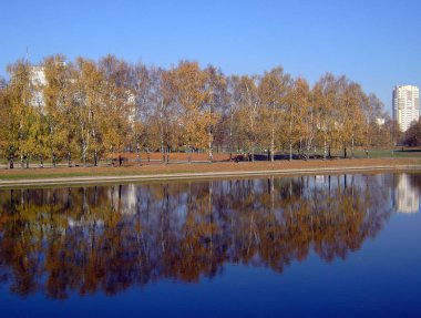 Sonbaharda altın park