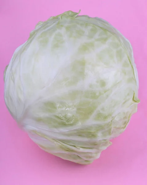 Head of White Cabbage on Pink Background — Stock Photo, Image