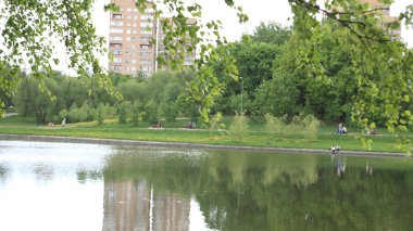 Kuru gün Park'ta yaz