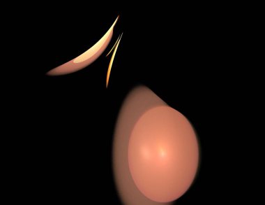 Siyah Renk Üzerine Bir Dijital Fraktal Resmi