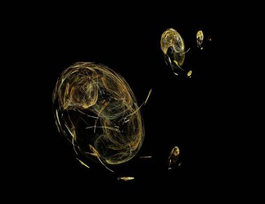 Siyah Renk Üzerine Bir Dijital Fraktal Resmi