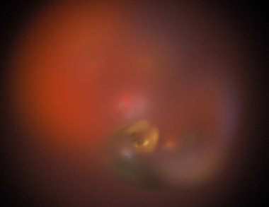 Siyah Renk Üzerine Bir Dijital Fraktal Resmi