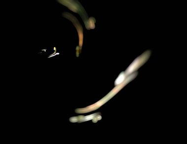 Siyah Renk Üzerine Bir Dijital Fraktal Resmi