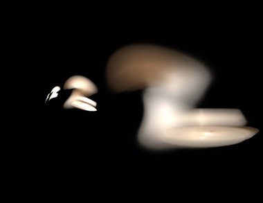 Siyah Renk Üzerine Bir Dijital Fraktal Resmi