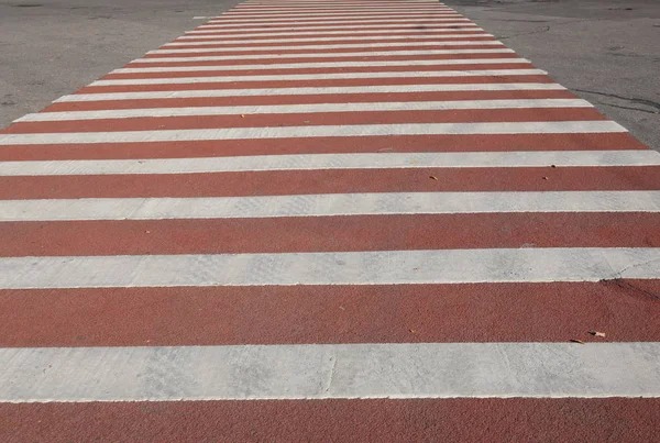 Cruce por carretera en día seco — Foto de Stock