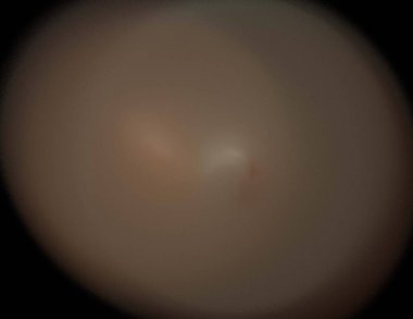 Siyah Renk Üzerine Bir Dijital Fraktal Resmi