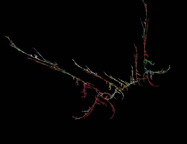 Afbeelding van een digitale fractal op zwarte kleur — Stockfoto