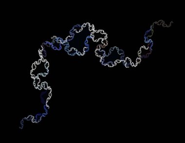 Dijital fraktal ile çok renkli bir çizimi