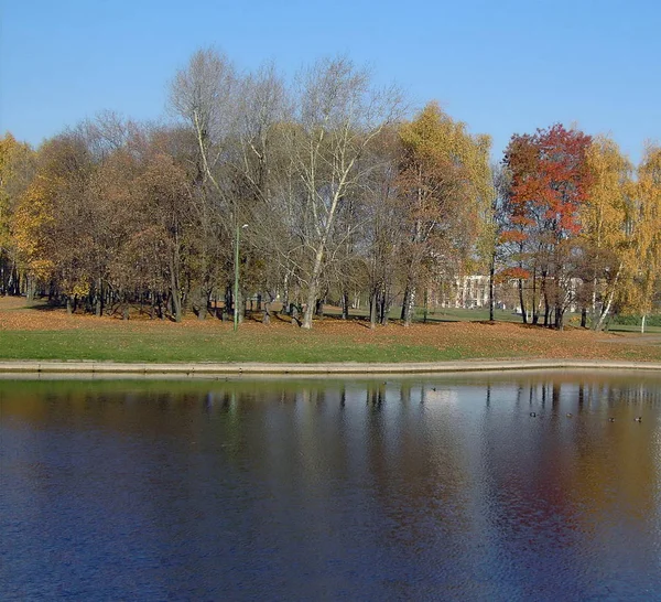 Sonbaharda altın park — Stok fotoğraf