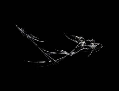 Siyah Renk Üzerine Bir Dijital Fraktal Resmi