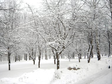 sonra kar yağışı