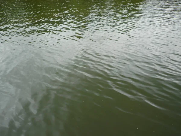 Ondulación en el agua — Foto de Stock