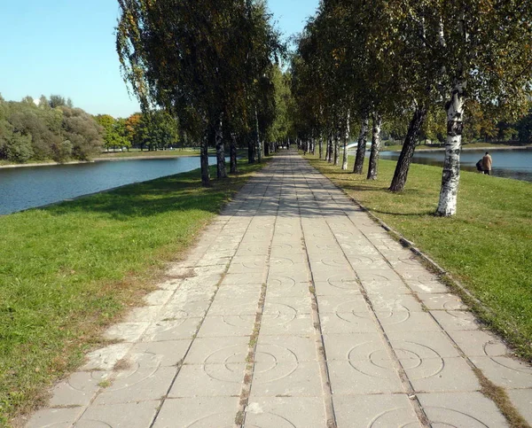 Verano en parque de la ciudad —  Fotos de Stock