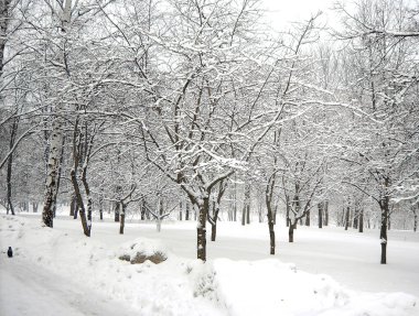 sonra kar yağışı