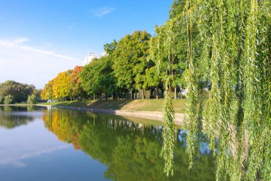 Kuru güneşli bir günde sonbahar parkı
