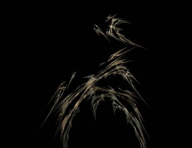 Siyah Renk Üzerine Bir Dijital Fraktal Resmi