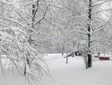 Şehir parkında kar yağdıktan sonra gündüz