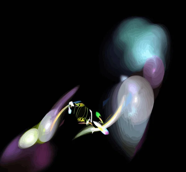 Ilustracja Jeden Cyfrowy Fraktal Multicolor — Wektor stockowy