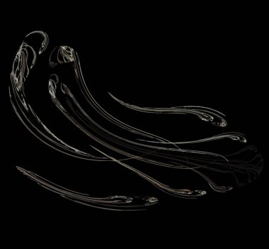 Dijital fraktal resimlerinden birinin resmi