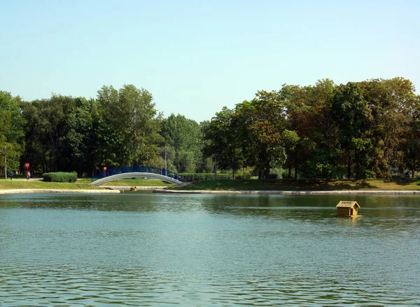 Été Dans Parc Ville — Photo