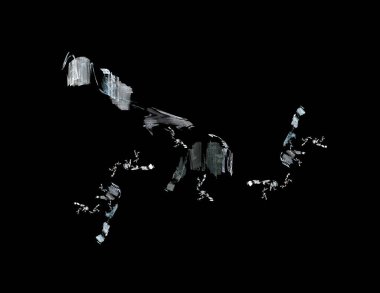 Siyah Renk Üzerine Bir Dijital Fraktal Resmi