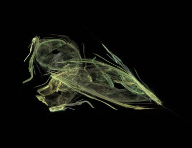 Siyah Renk Üzerine Bir Dijital Fraktal Resmi