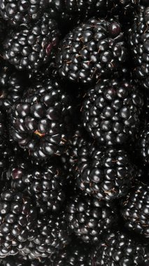 bir sürü BlackBerry