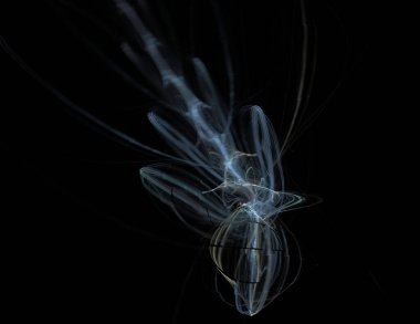 Siyah Renk Üzerine Bir Dijital Fraktal Resmi