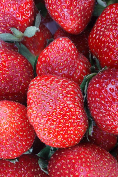 Many Strawberry Fry Sunny Day — Stock Photo, Image