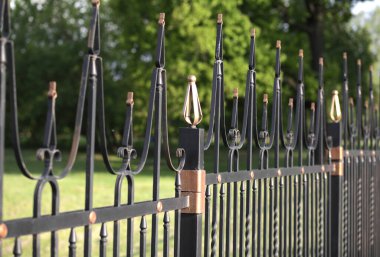 Altın madalyalı çitler.