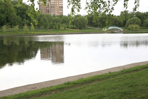 Sommerpark Bei Trockenem Sonnigem Tag — Stockfoto