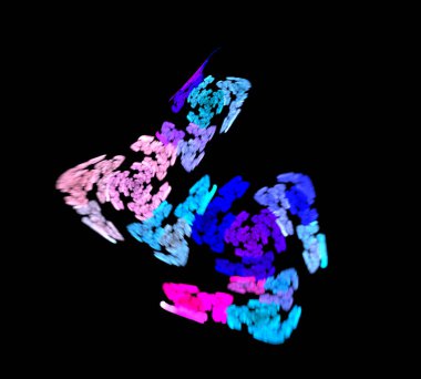 Siyah Renk Üzerine Bir Dijital Fraktal Resmi