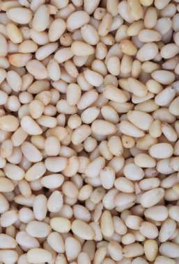 Bir sürü sedir fıstığı.