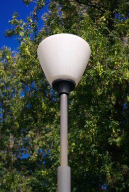 Kuru ve güneşli yaz gününde fener ve ağaç