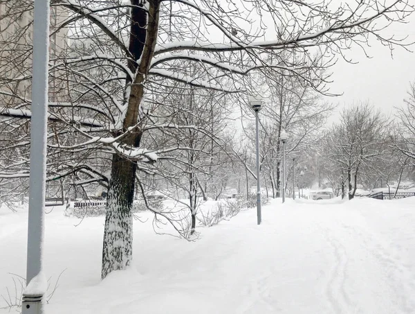 Městský Park Sněžení Dne — Stock fotografie