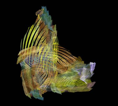 Siyah Renk Üzerine Bir Dijital Fraktal Resmi