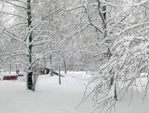 Parque Cidade Após Queda Neve Dia — Fotografia de Stock