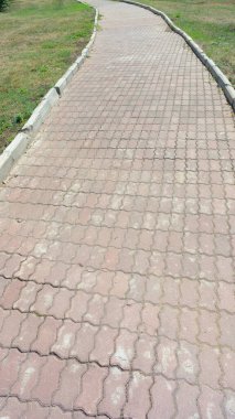 Kuru güneşli bir günde Park 'ta yol