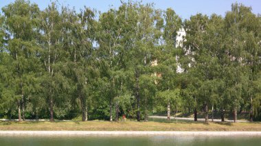 Şehir parkında yaz