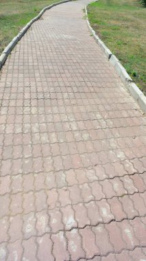 Parkta yol güneşli yaz gününde