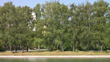 Şehir parkında yaz