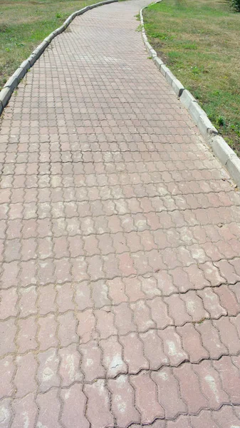 Parkta yol güneşli yaz gününde