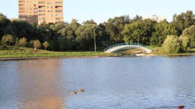 Şehir parkında yaz