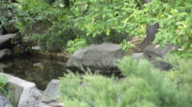 Moskova 'daki Nakajima' nın Japon bahçesi.